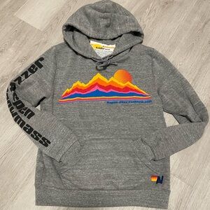 NEW Aviator Nation Heather Gray Hoodie